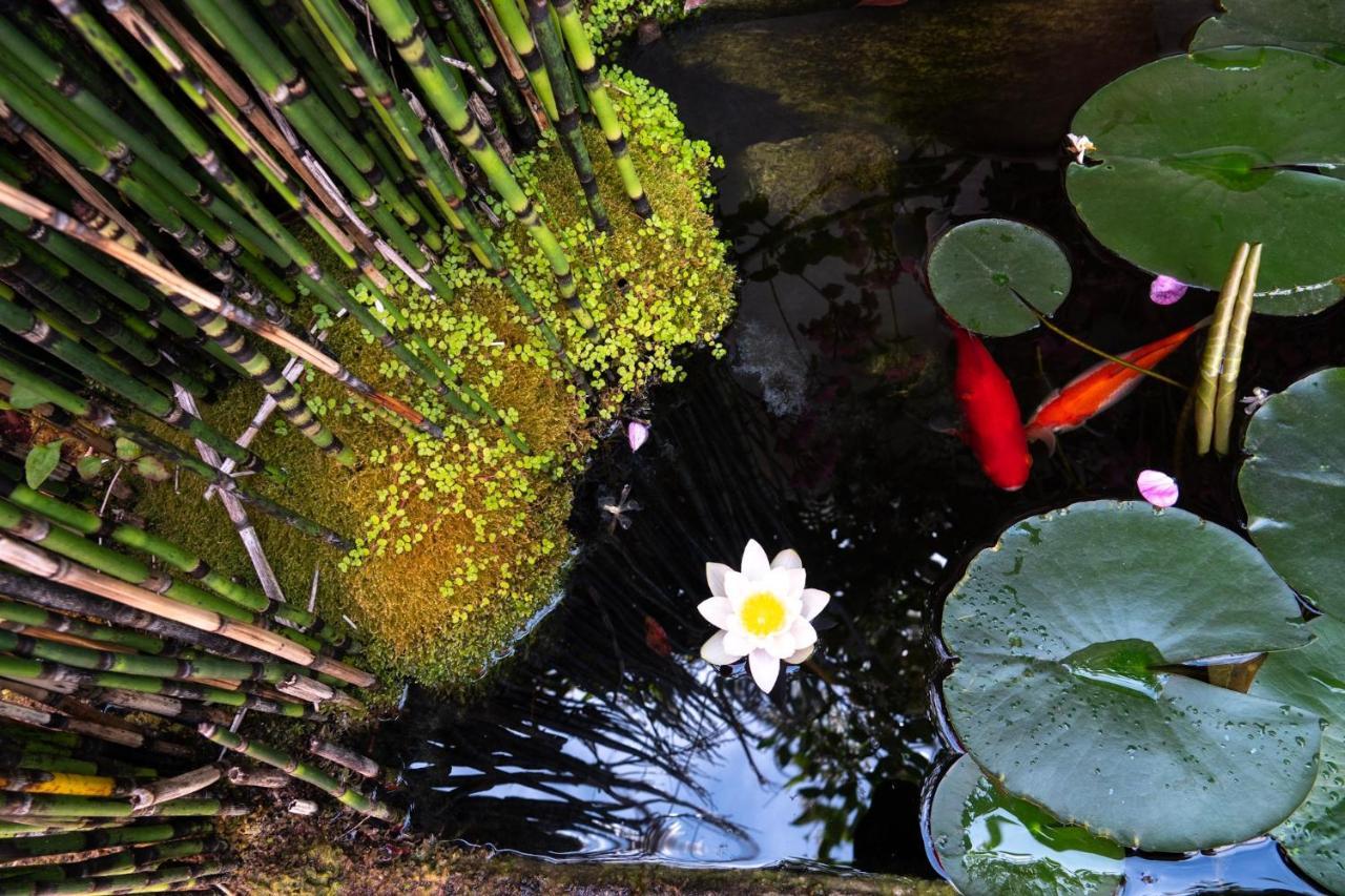 La Martinoise Garden 호텔 Saint-Martin-de-Ré 외부 사진