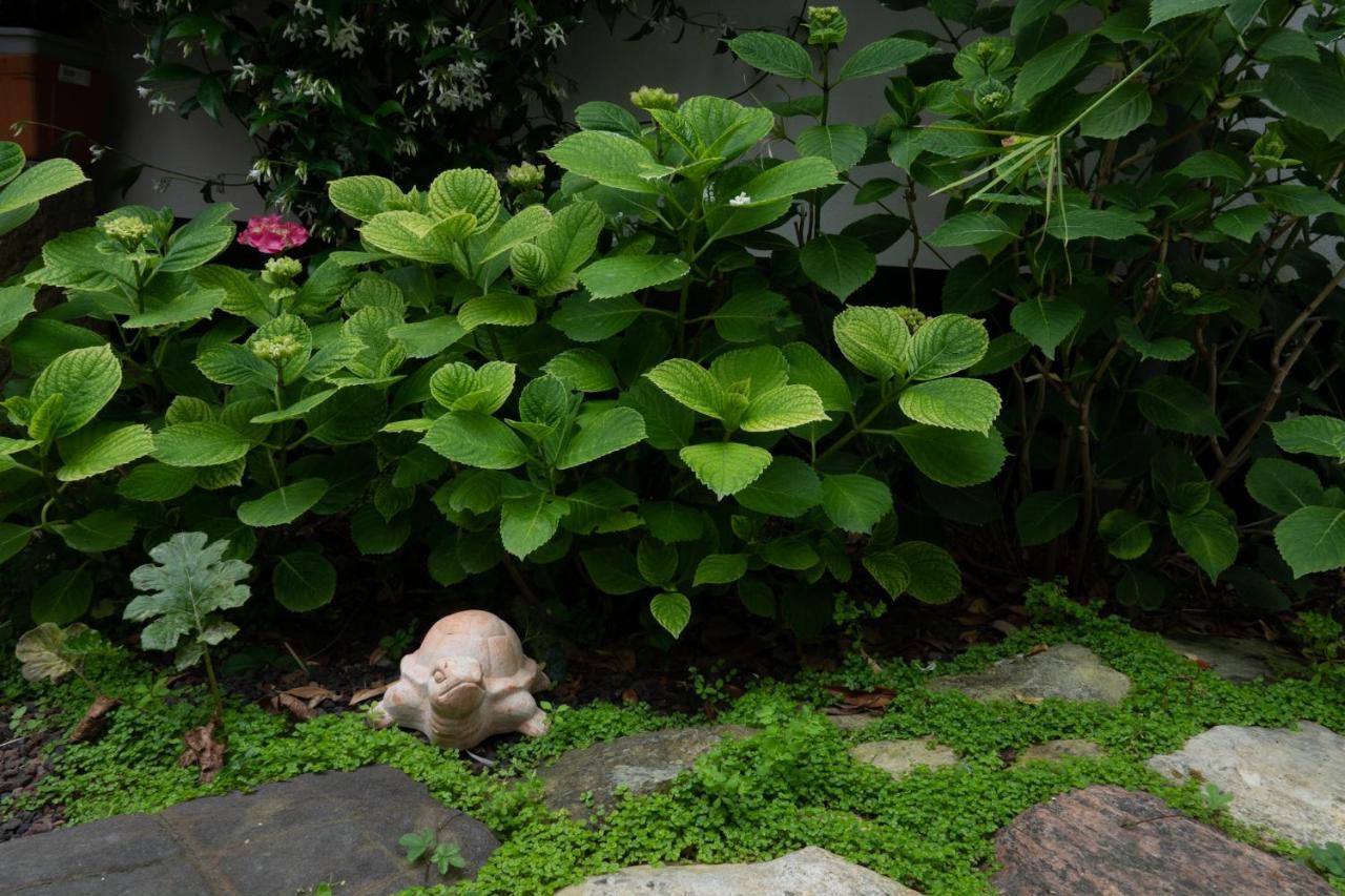 La Martinoise Garden 호텔 Saint-Martin-de-Ré 외부 사진